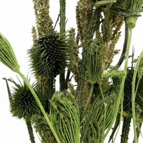 Floristik24 Wildflower bukett naturlig, grön 25–60cm 70g