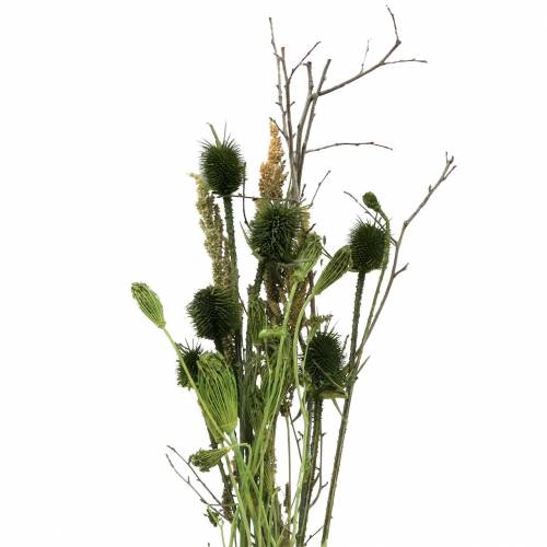 Floristik24 Wildflower bukett naturlig, grön 25–60cm 70g