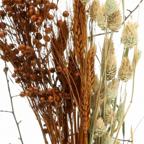 Floristik24 Vildblommabukett natur, orange 25–60cm 65g