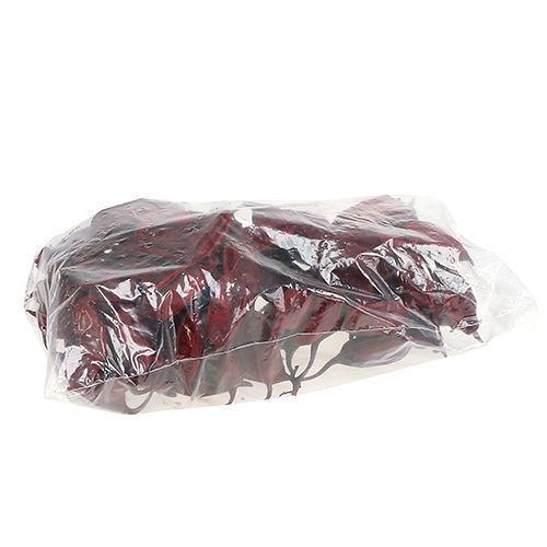 Artikel Brachyciton Röd 500g