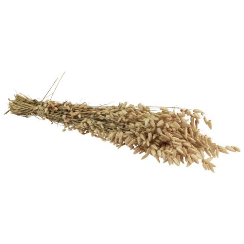 Floristik24 Torkat blomma quaking grass naturligt Briza prydnadsgräs 60cm 100g