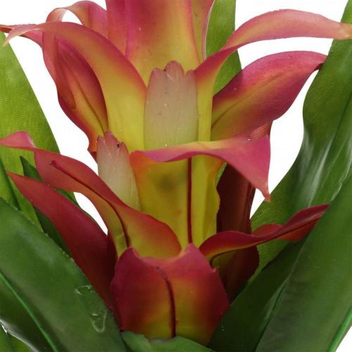 Artikel Bromeliad konstgjord Rosa konstgjord blomma att sticka 54cm