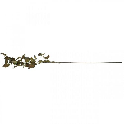 Floristik24 Deco gren bok konstgjord bok gren höst gren deco 115cm