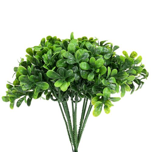 Floristik24 Boxwood gren L20cm 12st