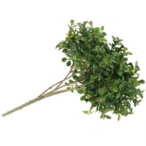 Floristik24 Boxwood gren grön 27cm