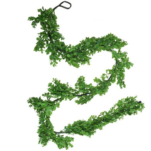 Boxwood kransgrön 180cm
