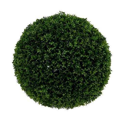 Floristik24 Boxwood ball green Ø33cm