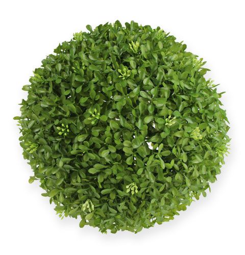 Floristik24 Lådkula Ø25cm