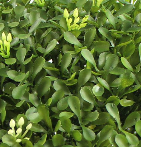 Floristik24 Lådkula Ø25cm