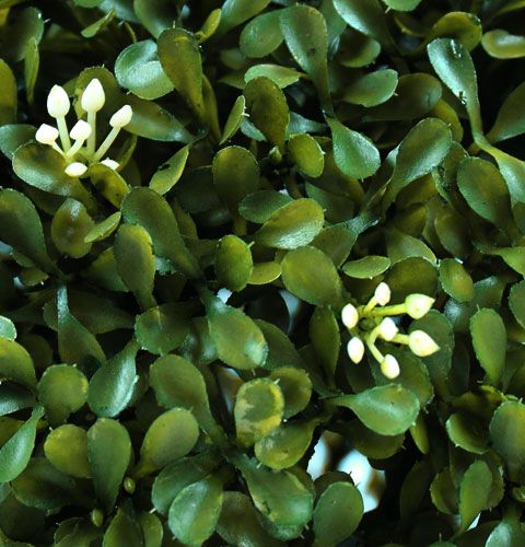 Floristik24 Bokboll Ø30cm