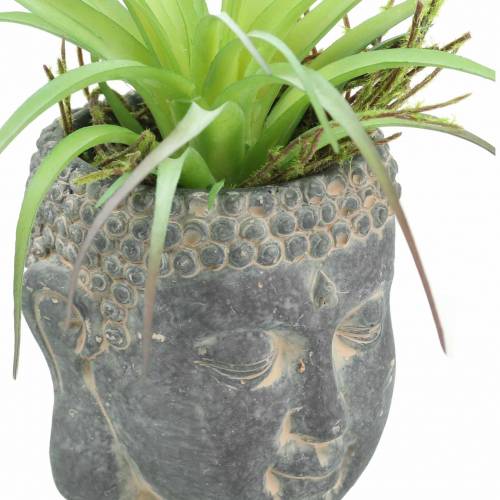 Floristik24 Buddhahuvud för att plantera antikt utseende betongsvart Ø8 H8cm