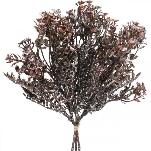 Artikel Konstgjorda växter brun höstdekoration vinterdekoration Drylook 38cm 3st