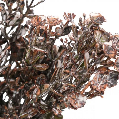 Artikel Konstgjorda växter brun höstdekoration vinterdekoration Drylook 38cm 3 st