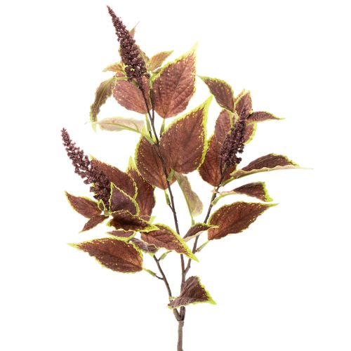 Konstgjord coleus med röda blad, konstgjord växt, 20 cm köpa | Floristik24.se