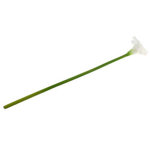 Floristik24 Konstgjord calla vit 67cm