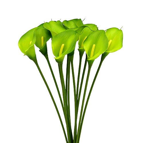 Floristik24 Calla konstgrön 8cm L57cm 12st