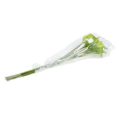 Floristik24 Calla konstgrön 8cm L57cm 12st
