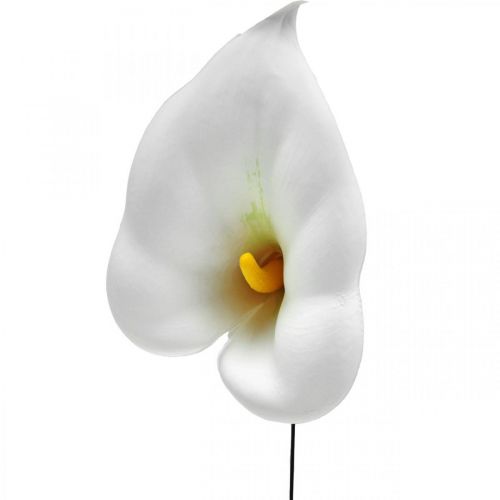Artikel Calla medium på tråd 50 st