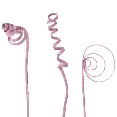 Körspiral Körkon Körsort Bär 30cm 75 st