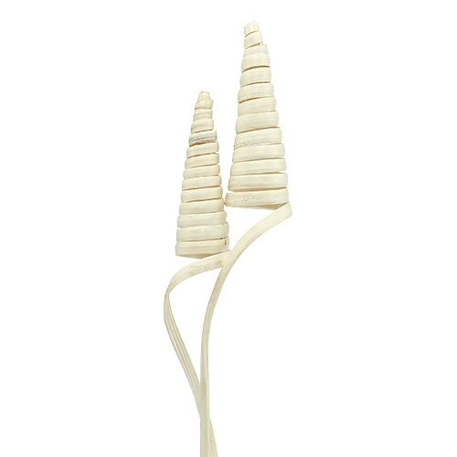 Floristik24 Cane Cone blekt 25 st
