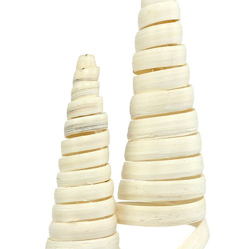 Floristik24 Cane Cone blekt 25 st