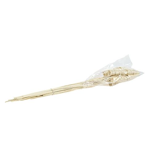 Floristik24 Cane Cone blekt 25 st