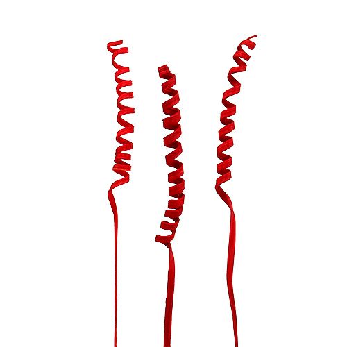 Floristik24 Cane Spring mini röd 25 st