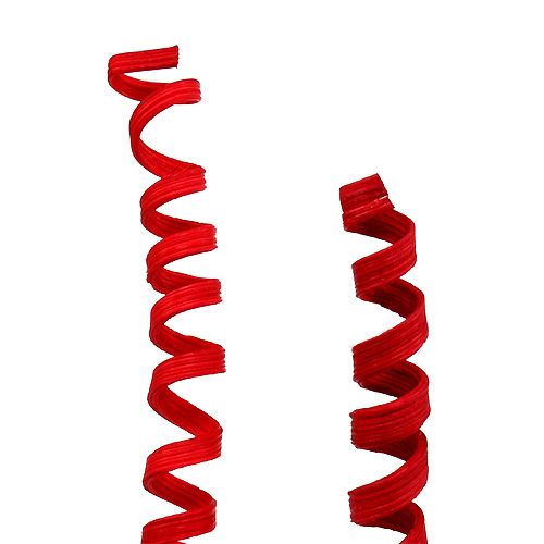 Floristik24 Cane Spring mini röd 25 st