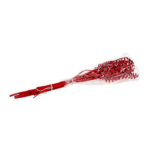 Floristik24 Cane Spring mini röd 25 st