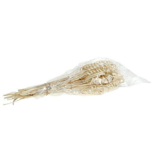 Artikel Sockerrörssortiment miniblekt 75 st