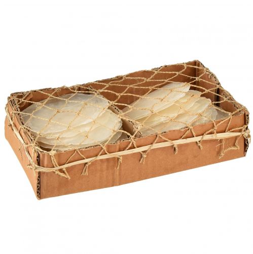 Artikel Capiz-skal Capiz-skivor pärlemorskivor naturell 7,5–9,5 cm 300g