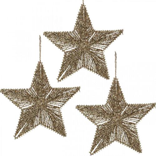 Floristik24 Julgranspynt, adventspynt, stjärnhängen gyllene B20,5cm 6 st