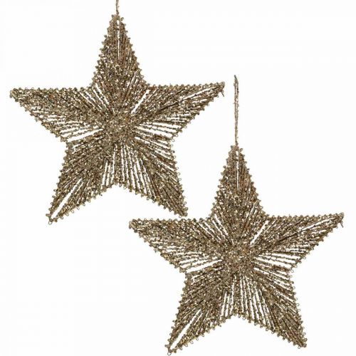 Floristik24 Julgranspynt, adventspynt, stjärnhänge Gyllene B25,5cm 4st