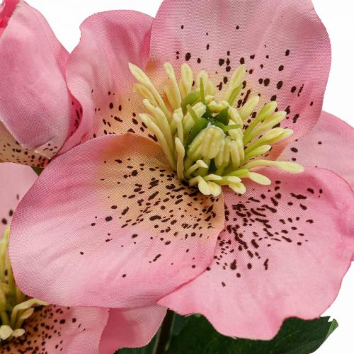 Floristik24 Julros, linsros, helleborre, konstgjorda växter rosa L34cm 4st