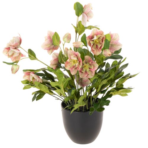 Konstgjord Helleborus krukväxt, julros, för heminredning, 50 cm köpa | Floristik24.se