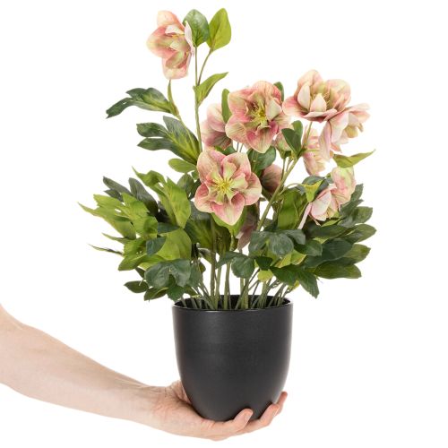 Konstgjord Helleborus krukväxt, julros, för heminredning, 50 cm | Floristik24.se