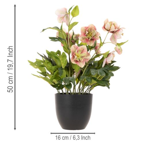 Konstgjord Helleborus krukväxt, julros, för heminredning, 50 cm | Floristik24.se