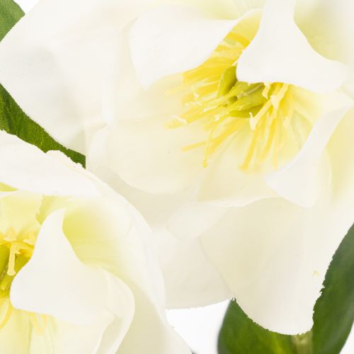 Konstgjord julros, krukblomma, bordsdekoration, 34 cm | Floristik24.se