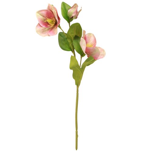 Artikel Elegant bukett rosa julrosor – 35 cm 6 st.