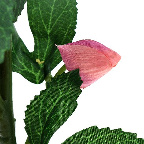 Floristik24 Julrosrosa L22cm 1p