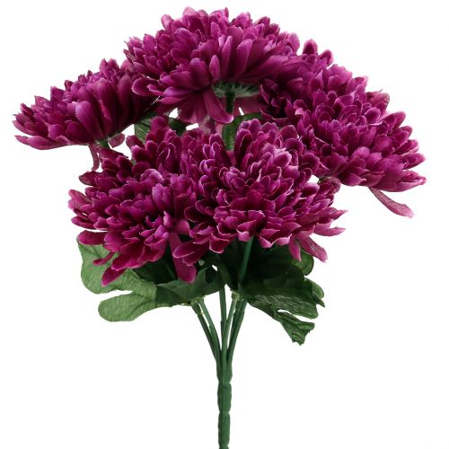 Floristik24 Krysantemum aubergine med 7 blommor