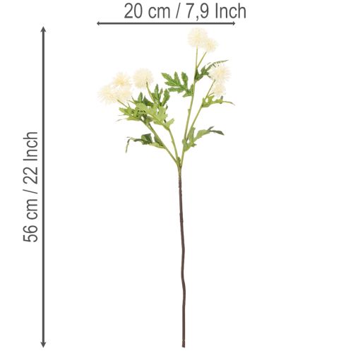 Konstgjord krysantemumblomma, krämvitt knippe, dekorativ gren, stor 56 cm, 4 stycken | Floristik24.se