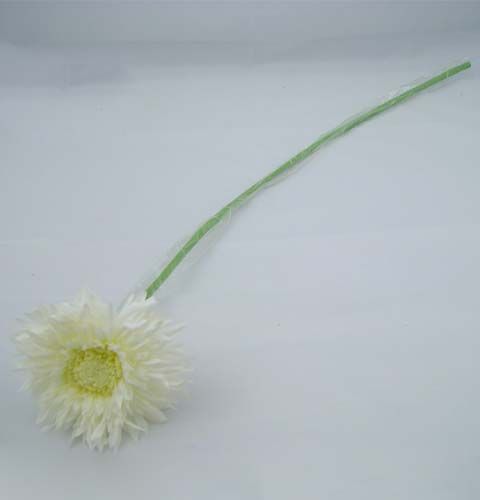 Artikel Chrysanthemum nalle 63 cm vit