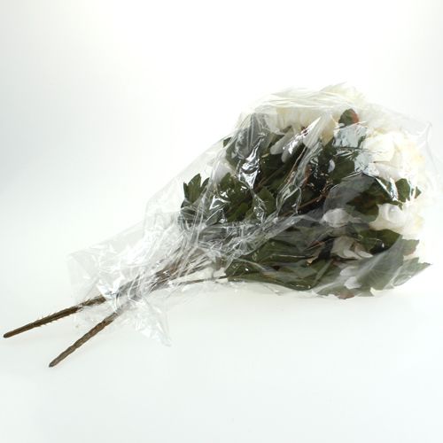 Floristik24 Chrysanthemum buskgrädde 47cm 2st