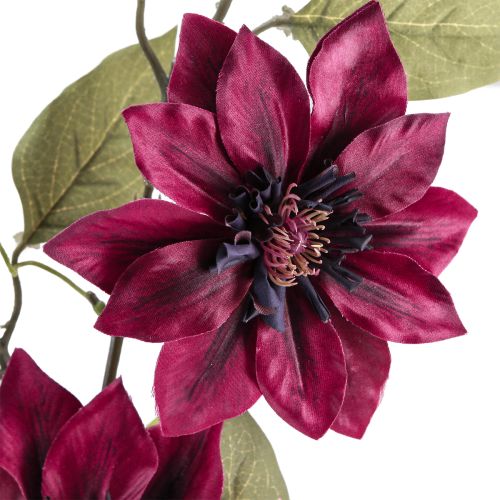 Artikel Klematis konstgjord 3 blommor konstgjorda blommor Bordeaux 81cm 2st