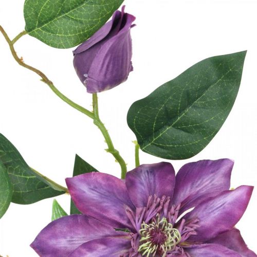 Floristik24 Konstgjord klematis, sidenblomma, dekorativ gren med klematisblommor violett L84cm