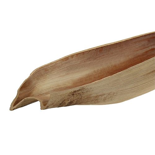 Floristik24 Kokosnötskalmbladblad 60-80cm naturligt