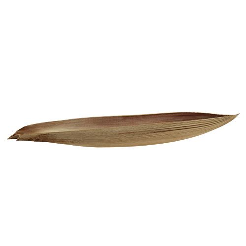 Floristik24 Kokosnötskalmbladblad 60-80cm naturligt