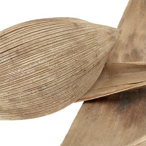 Artikel Kokosskal blekta kokosblad 25 st