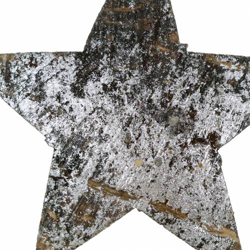 Floristik24 Kokosstjärna silver 5cm 50st bordsdekoration silver Adventdekorationsstjärnor